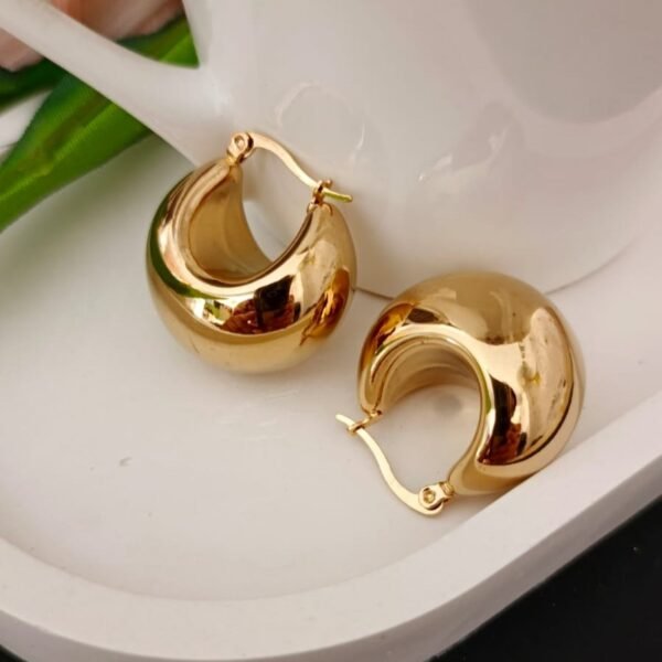 MFHE-14-Chunky Hoop Earrings - Image 3