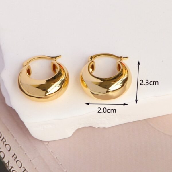 MFHE-14-Chunky Hoop Earrings - Image 2